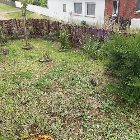 Haus Schiermonnikoog Апартаменты
